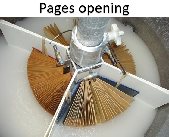 pages opening pages opening